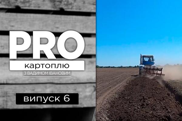 PRO картоплю #6