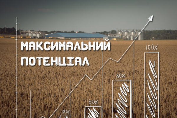 Як отримати більше від пшениці озимої