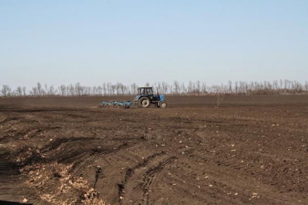 Експерти прогнозують здорожчання посівної на 40%