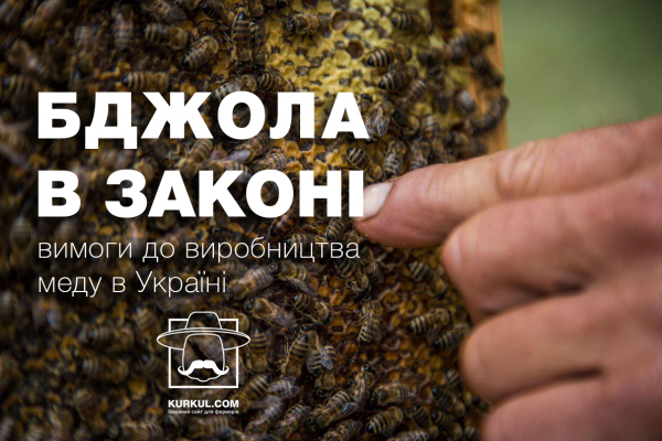 Бджола «в законі», або Вимоги до виробництва меду в Україні. Частина 2