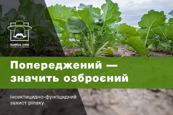 Інсектицидно-фунгіцидний захист ріпаку