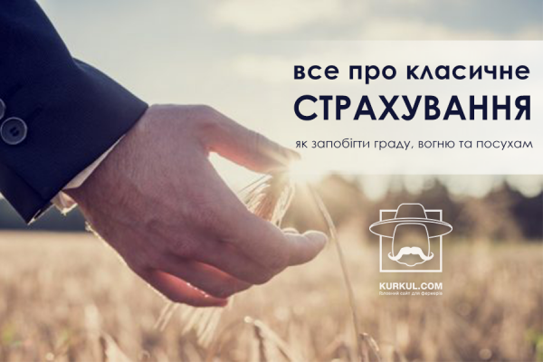 Як запобігти граду, вогню та посухам або Все про класичне страхування
