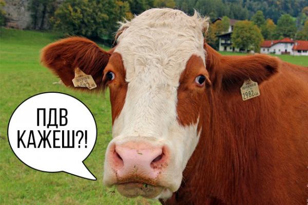 9% фермерів під час опитування сказали, що планують вирізати худобу