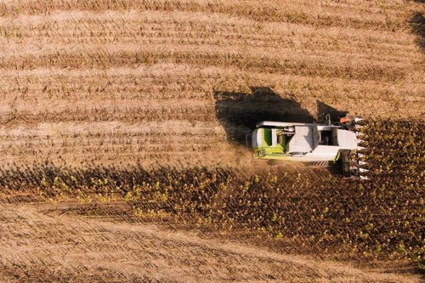 Як перестати хвилюватись і вигідно продати урожай