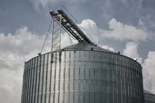 Як заощадити на елеваторі фермерам Київщини