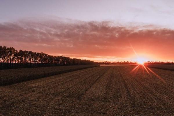 5 років для агро — як ми змінились і що пережили