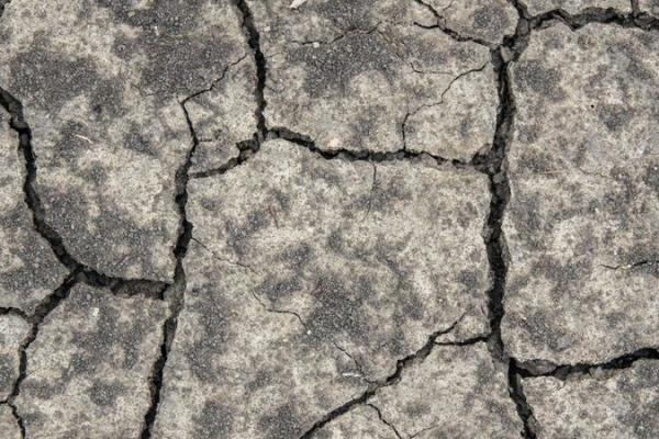 Аграрії Біляївського району б'ють в набат