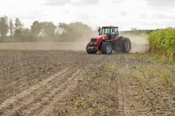 Ферма на прокачку: як диджиталізуватись без крові, сліз і поту 