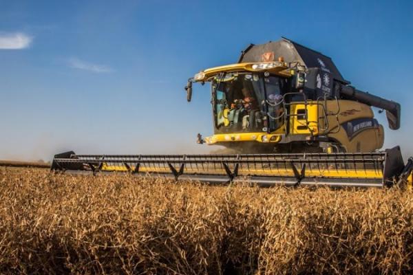 Цифрові рішення, ціни та зберігання: що з урожаєм зерна на Хмельниччині