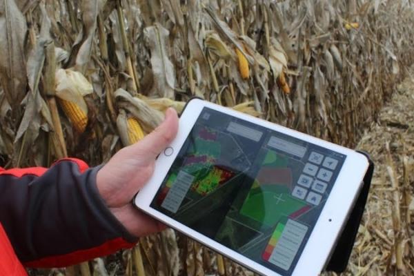 Як захистити господарство від крадіжок: філософія від AgroOnline