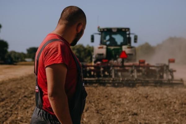 Ціна помилки в агробізнесі: як правильно планувати з AgroOnline 