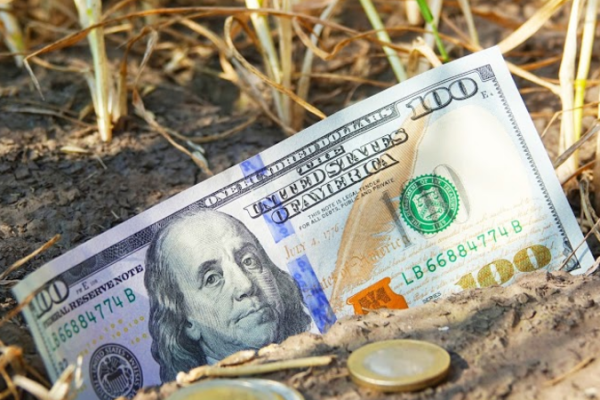 Зерно, дизель і валюта — ціни