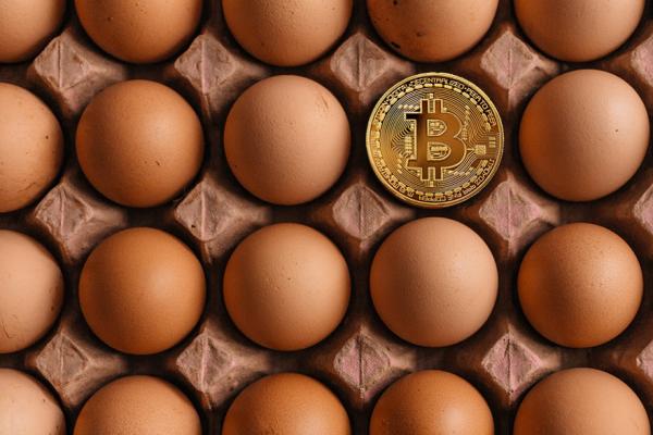 Біткоїн для фермера ― що аграрії знають про криптовалюту?