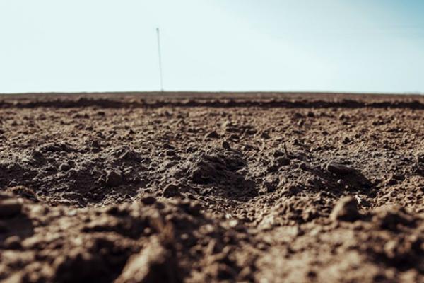 Як перемогти у війні за паї — фронтові будні фермера 