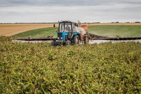 Як збільшити ефективність ЗЗР — вплив ад'ювантів
