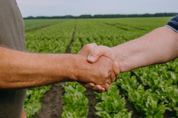 Об’єднані війною: чи є у фермерів шанс на кооперацію