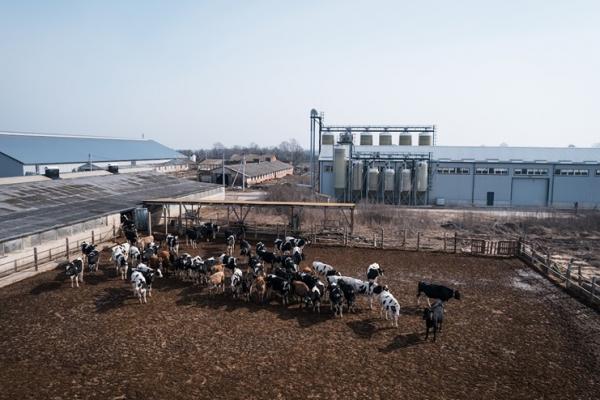 5 кроків до прибуткової ферми — досвід ФГ «Озон»  
