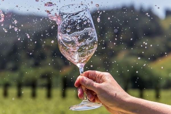 Українське виноробство змінюється — три історії від Одеси до Житомира