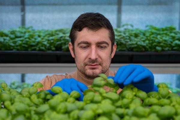 Віктор Шулешко: Ми ростимо зелень, але МінАПК не визнає нас сільгоспвиробниками