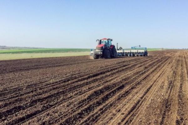 Фінансова карта агросезону від посівної до продажу зерна