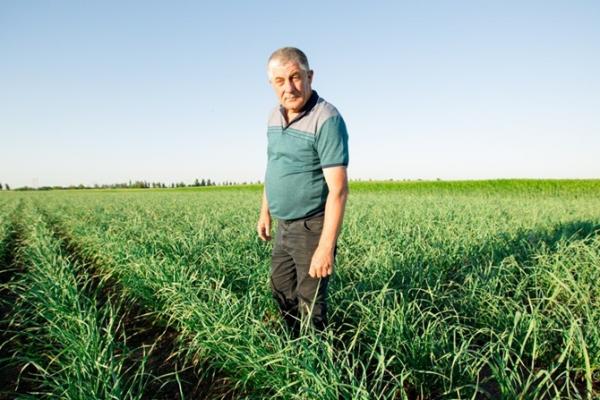Іван Захаренко — селекціонер, автор та власник сорту часнику Любаша