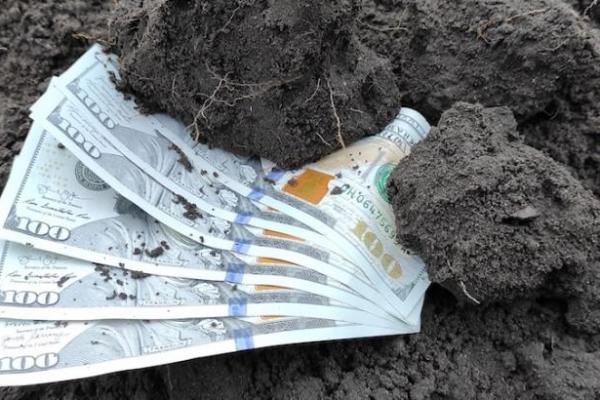 Страхування врожаю, як не «молитися» на дощ і захистити свій бізнес