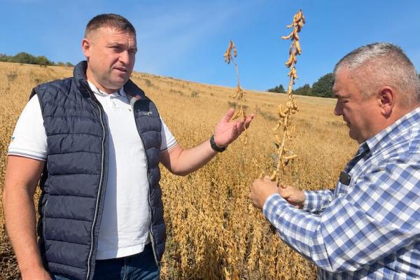 Рекордний врожай соняшнику на схилах Карпат — досвід ПФ «Богдан і К»