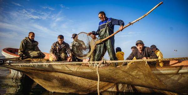 Кустарне рибальство та аквакультура в Україні — реалії та перспективи (фотопроєкт)