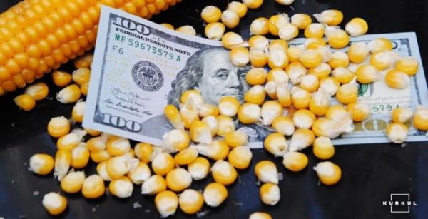 росія вкрала в українських фермерів $50 з тонни кукурудзи