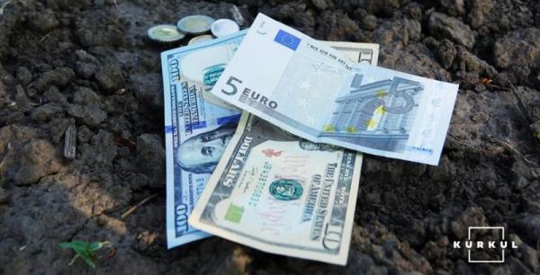 Агроінвестиції: купівля землі — український «біткоїн» чи «закопані гроші»