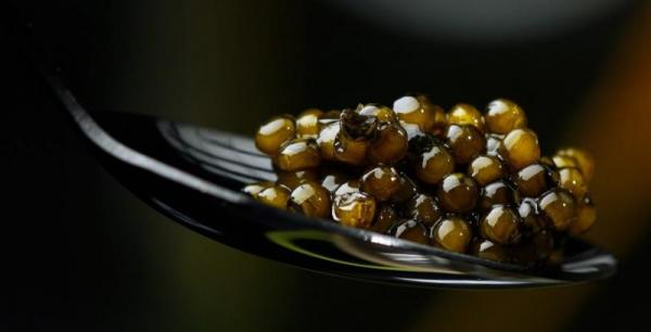 Кав’яр без секретів — сучасні технології виробництва осетрової ікри