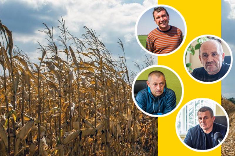 Українські аграрії говорять про справу «Syngenta vs фермери США»