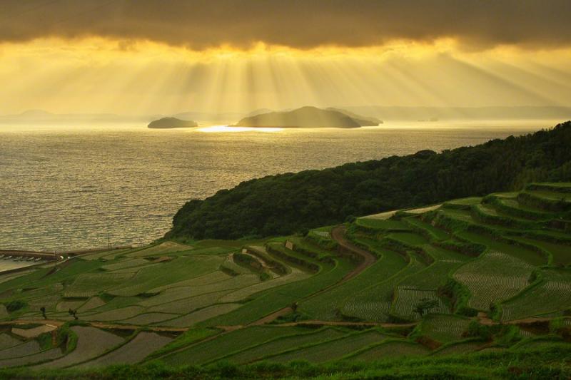 Від Японії до Бразилії — два рівні аграрного світу