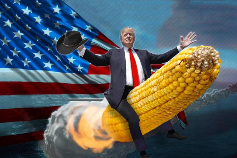Трамп махає качаном — прогнози USDA обвалюють ціни на зерно