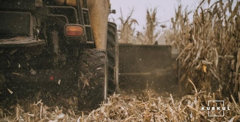 Високі врожаї дали не маржу, а збиток, — досвід українських аграріїв