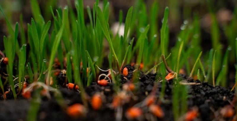 АгроЕкспедиція на Південь: Без кукурудзи, але з неоціненним досвідом