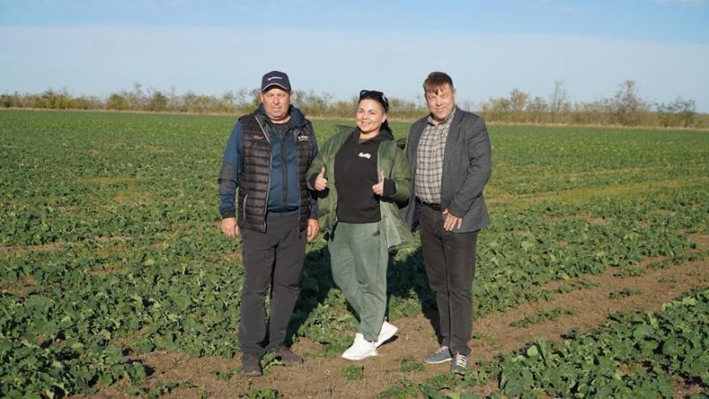 Кращий ріпак на Миколаївщині — секрети агронома Сергія Шипова