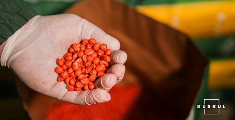 Гібриди кукурудзи для Півдня України на сезон 2026