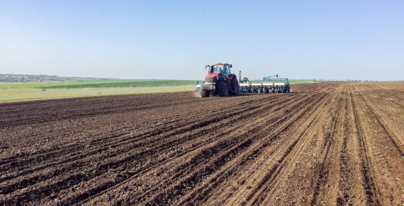 Фінансова карта агросезону від посівної до продажу зерна