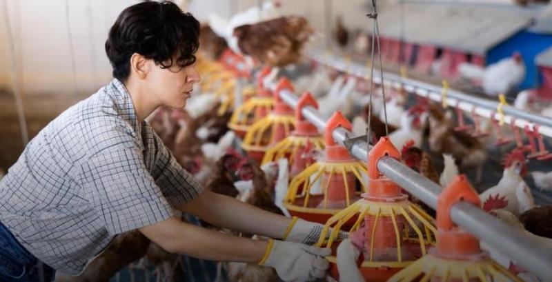 Як фермеру отримати кредит з компенсацією або грант на розвиток