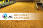 Удосконалення зернятка: як створюють посівмат кукурудзи в ЛНЗ