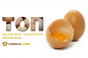 Світовий ринок свіжих яєць ― ТОП експортерів та імпортерів