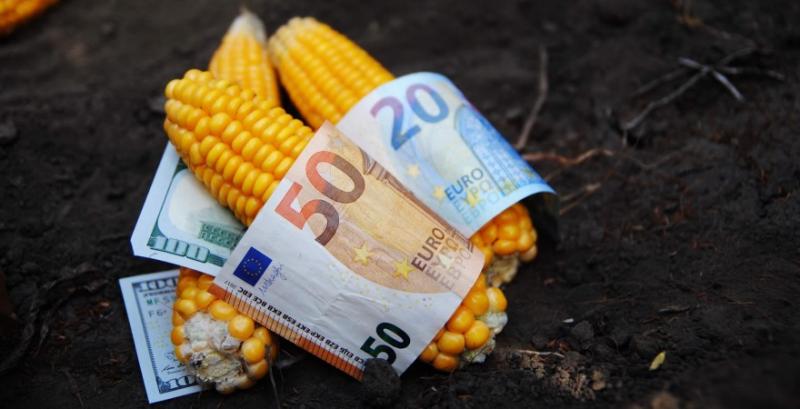Курс євро росте — що буде з цінами на насіння, добрива і запчастини