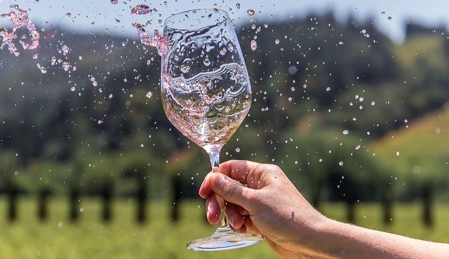 Українське виноробство змінюється — три історії від Одеси до Житомира