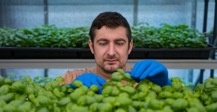 Віктор Шулешко: Ми ростимо зелень, але МінАПК не визнає нас сільгоспвиробниками
