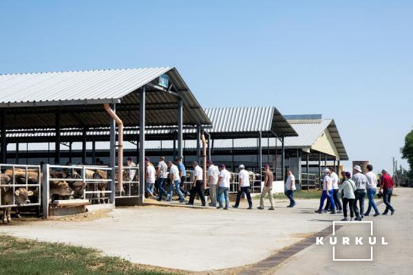 Гості заходу відвідують молочно-виробничий комплекс «Єкатеринославський». 