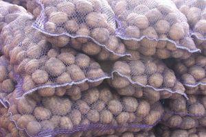 Фермери, які постраждали в зоні АТО отримають 100 т посадкової картоплі