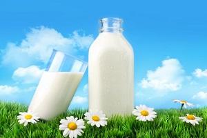 Україна збільшить виробництво молока — думка