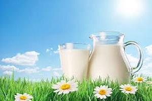 Україна експортуватиме молоко у Казахстан