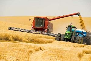 Планова урожайність зернових на Харківщині очікується 40 ц/га